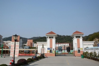 参赛学校